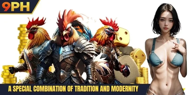 9PH Cockfight