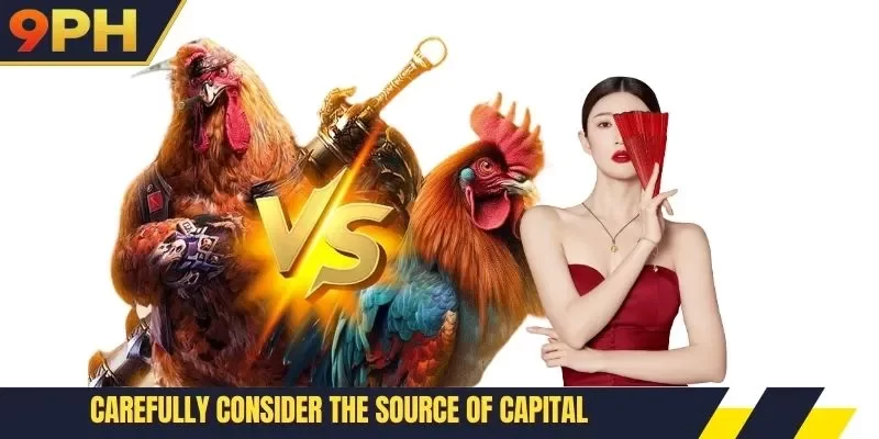 9PH Cockfight