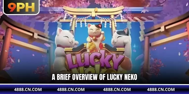 A brief overview of Lucky Neko