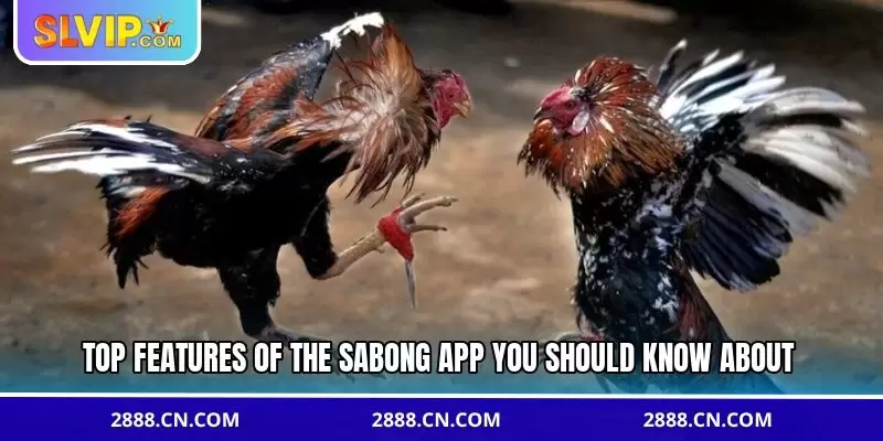 Top features of the sabong app you should know about