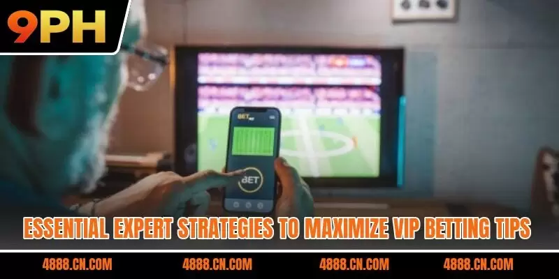 Essential expert strategies to maximize VIP betting tips