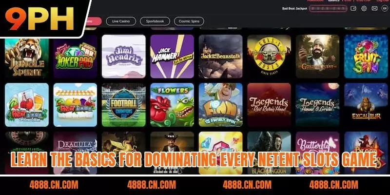 Learn the basics for dominating every NetEnt slots game