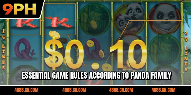 Essential game rules according to Panda Family