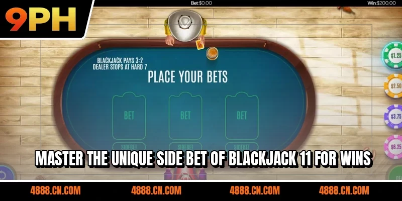 Master the unique side bet of Blackjack 11 for wins